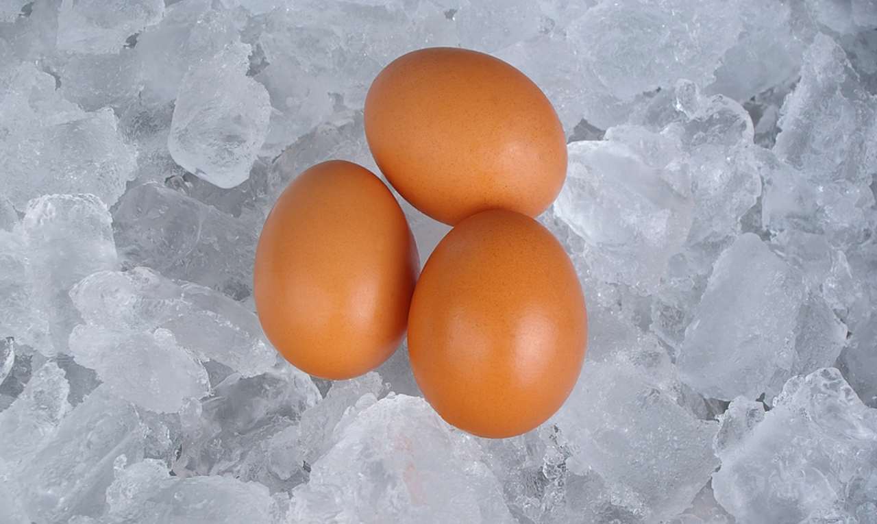 The new frontier of egg freezing and delayed motherhood for women in India The new frontier of egg freezing and delayed motherhood for women in India