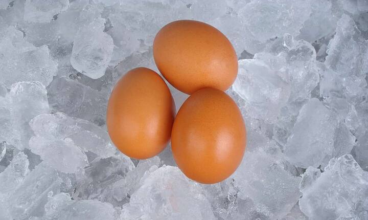 The new frontier of egg freezing and delayed motherhood for women in India