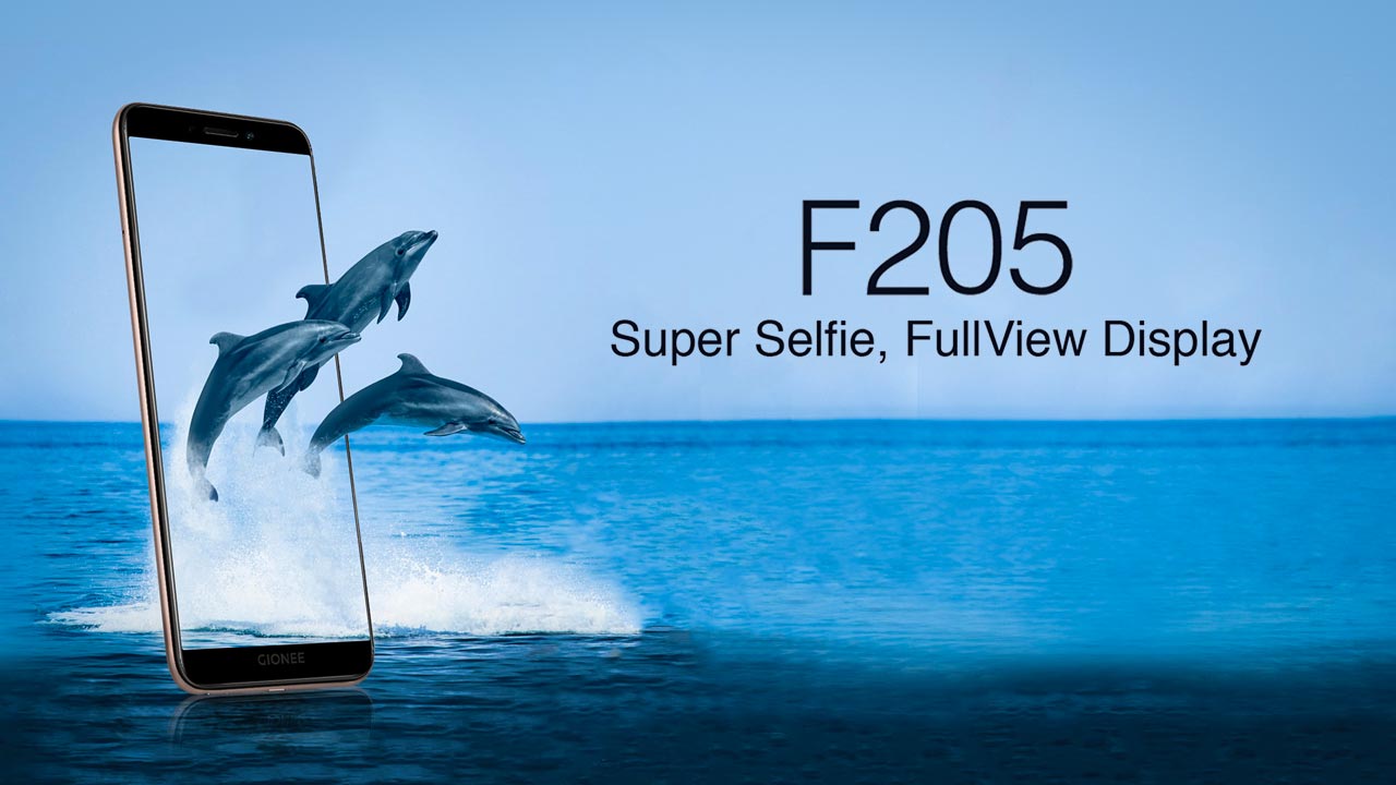 Chinese smartphone maker Gionee is almost $3 bn in debt, files for bankruptcy Chinese smartphone maker Gionee is almost $3 bn in debt, files for bankruptcy