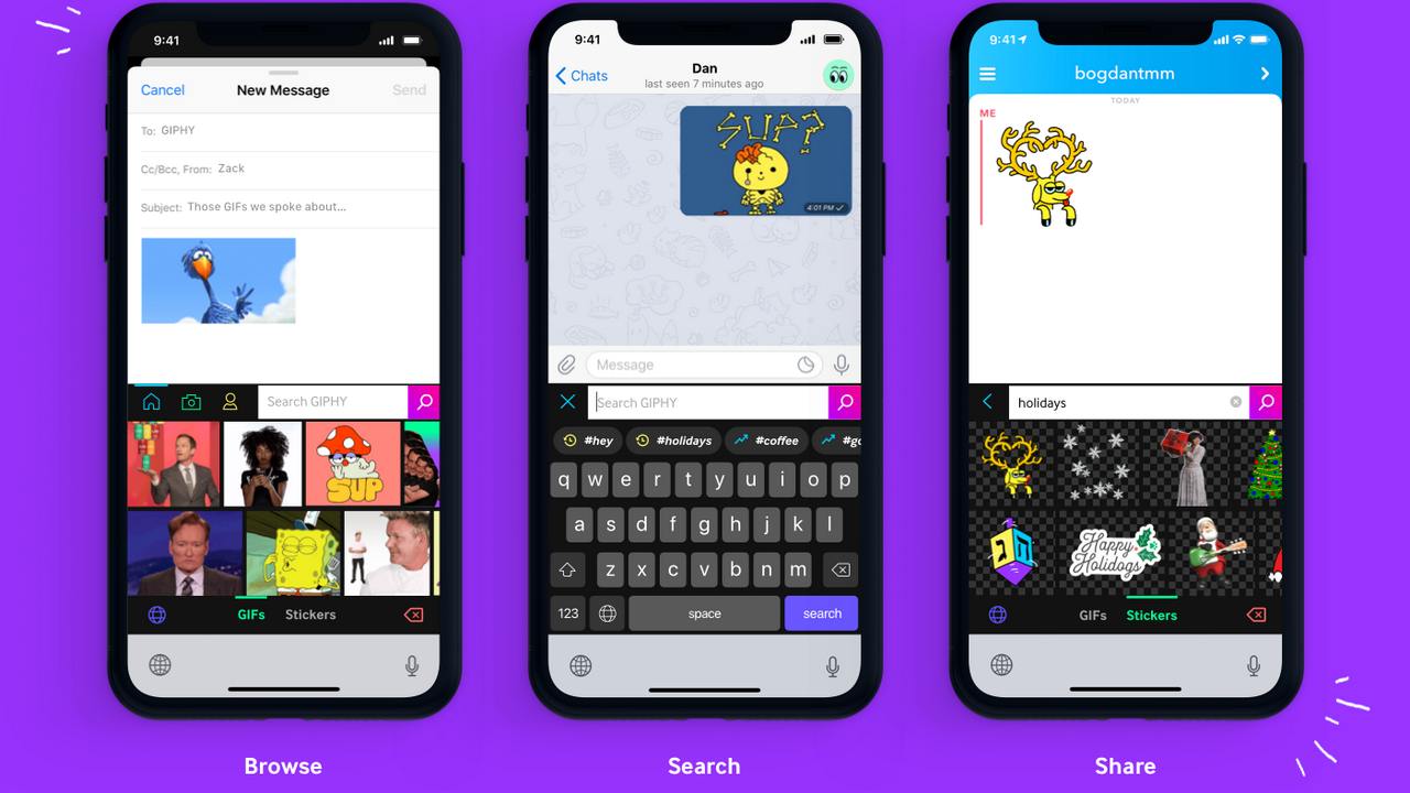 Giphy new update. Image: Giphy