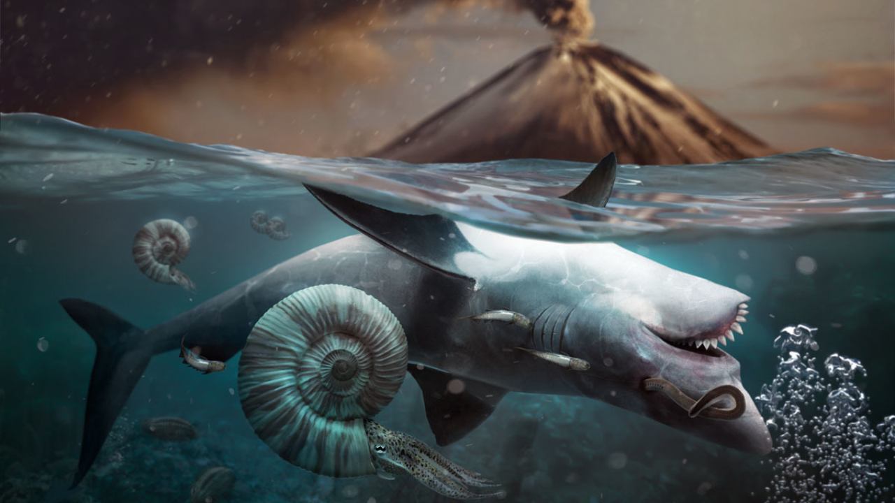 Largest mass extinction 250 million years ago from hot oceans mirrors our fate Largest mass extinction 250 million years ago from hot oceans mirrors our fate