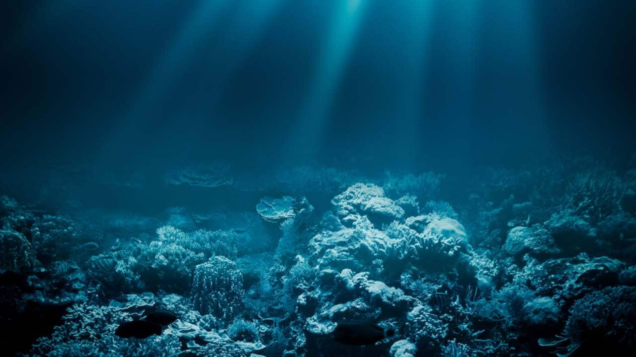 World Environment Day 2019: Four sustainable technologies to help save our oceans