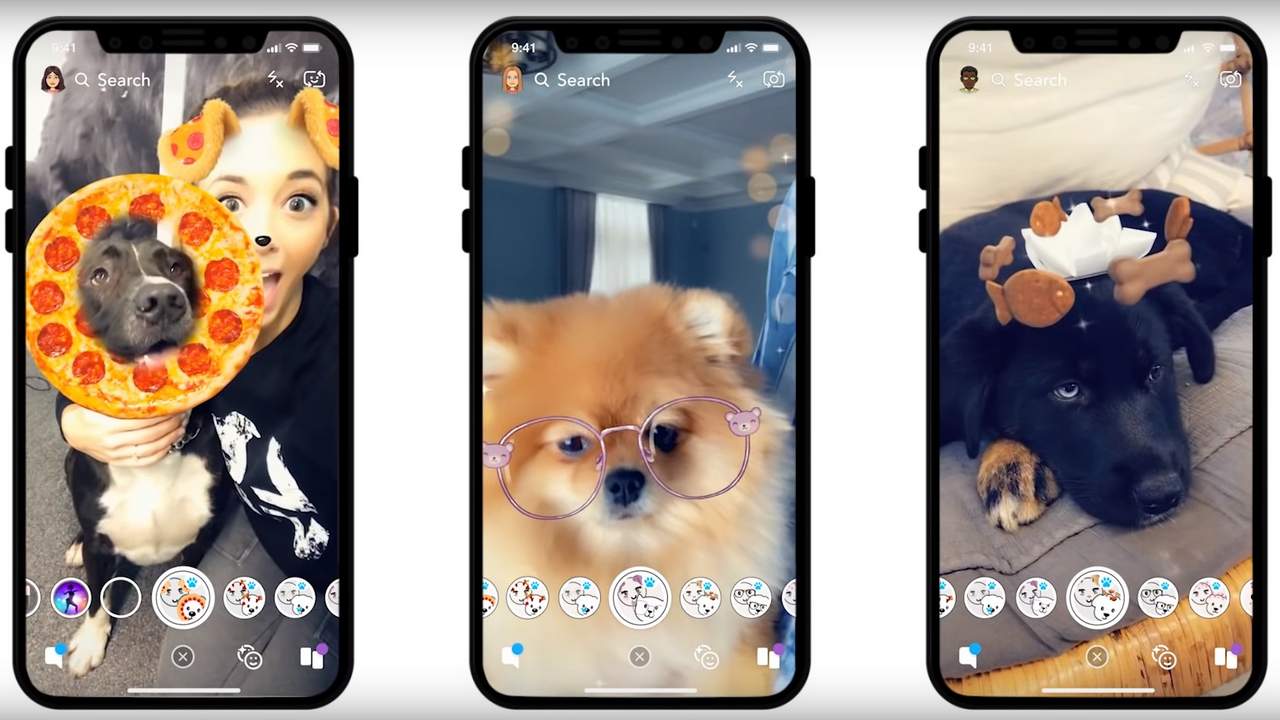After cats, Snapchat has launched lenses for doggos! Bring in all the frenzy After cats, Snapchat has launched lenses for doggos! Bring in all the frenzy