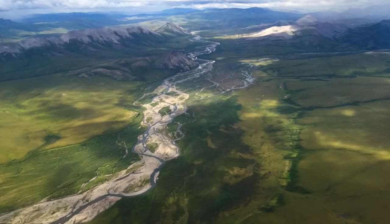 Snow cover is decreasing on land, and river discharge is increasing. Vegetation in the Tundra region is growing, but the populations that graze on them are dying off. Image courtesy: NOAA