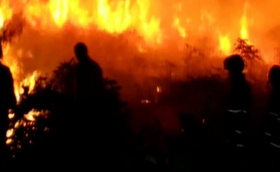 Teams of Mumbai Fire Brigade and officials from the Forest Department and other agencies had reached the area and the fire was doused after an overnight operation. ANI Teams of Mumbai Fire Brigade and officials from the Forest Department and other agencies had reached the area and the fire was doused after an overnight operation. ANI