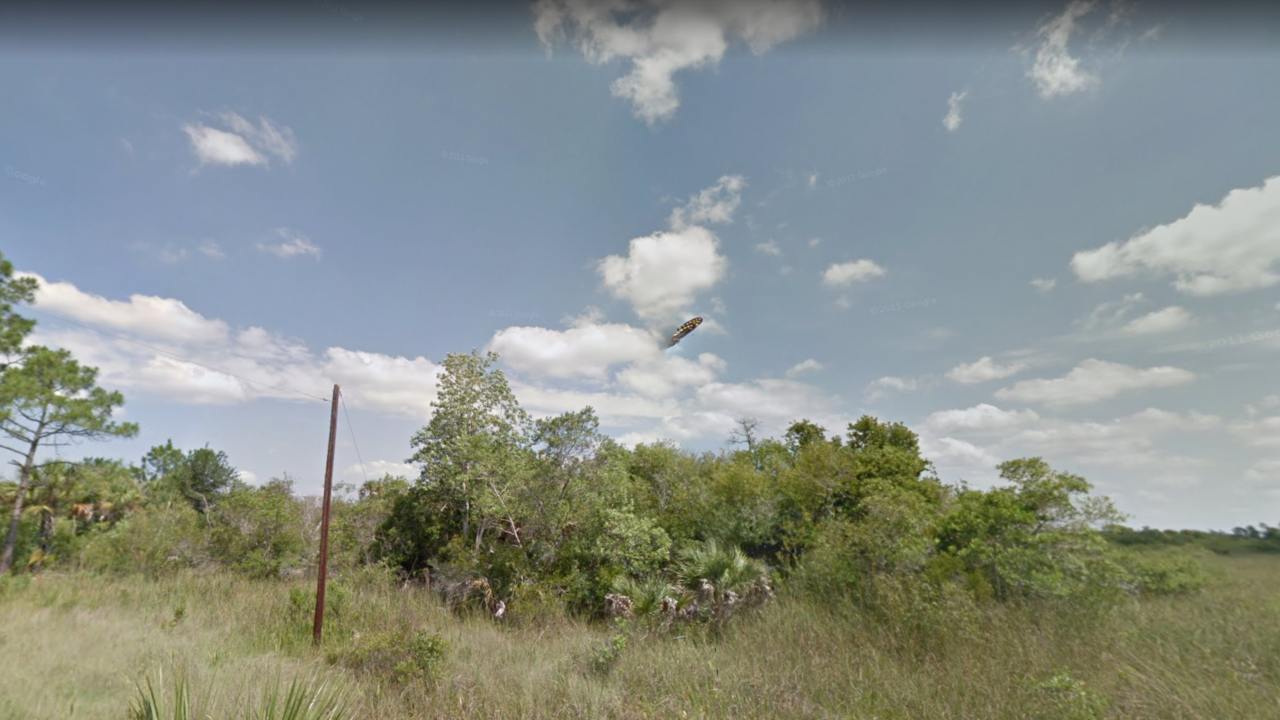 The 'UFO' on Google Street View of Florida looks more butterfly than alien spaceship The 'UFO' on Google Street View of Florida looks more butterfly than alien spaceship