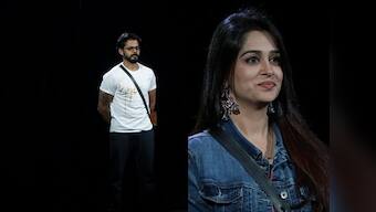 Bigg Boss 12, 29 December, Day 104: Sreesanth, Dipika, Karanvir, Romil, Deepak relive their journey inside house