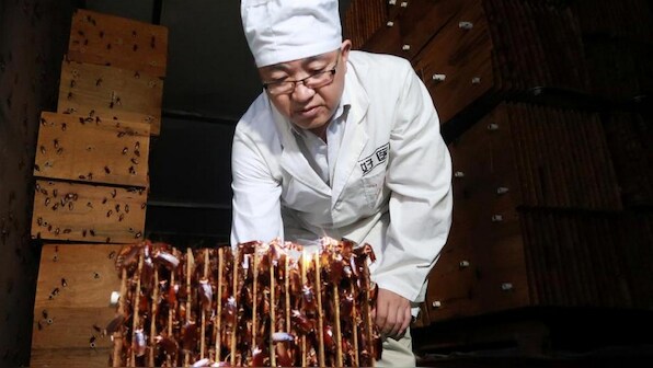 Millions of cockroaches are helping China process the country's food waste