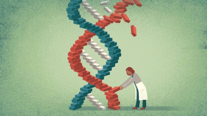 Gene-editing is "not yet ready" to be tried safely and effectively in human embryos, says panel of experts
