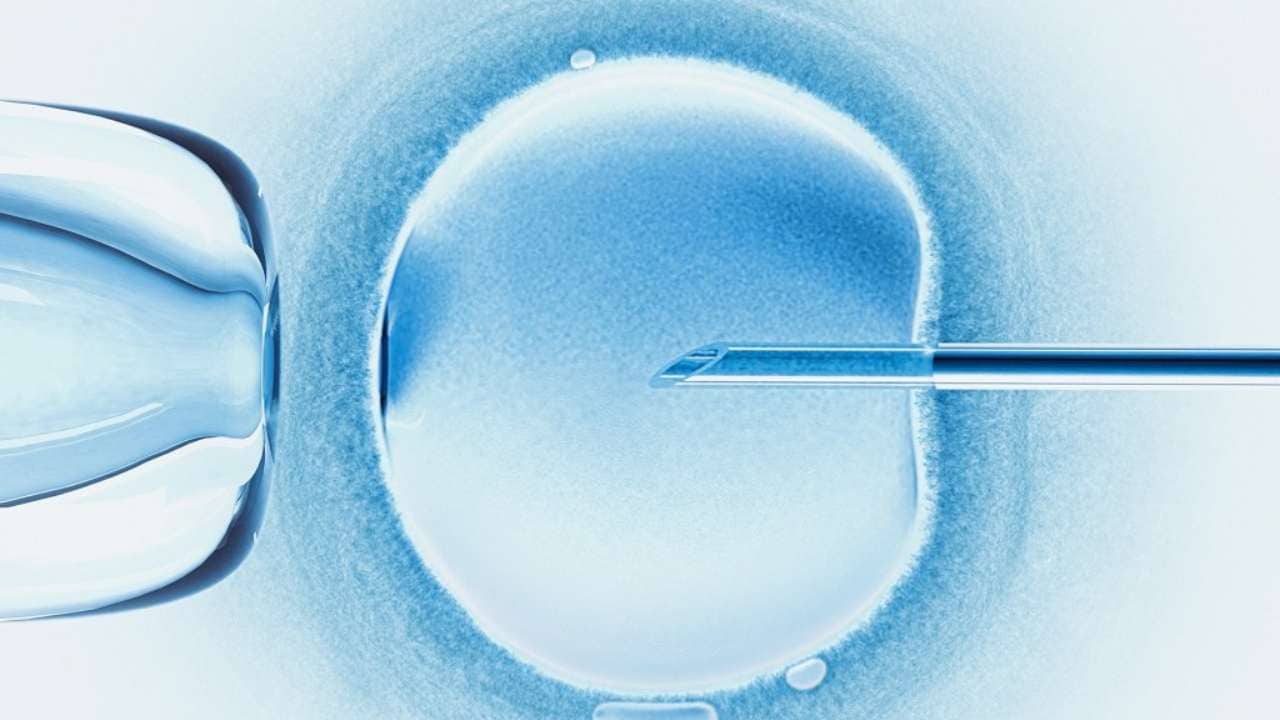 Egg freezing and IVF are far from the same procedures.