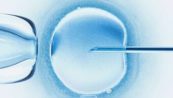 More and more South Korean women are opting to freeze their eggs; all you need to know