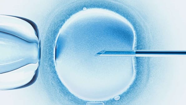 More and more South Korean women are opting to freeze their eggs; all you need to know