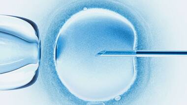 More and more South Korean women are opting to freeze their eggs; all you need to know