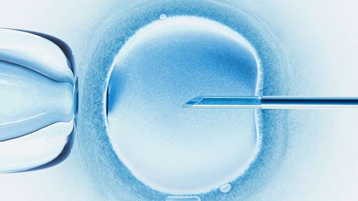 More and more South Korean women are opting to freeze their eggs; all you need to know