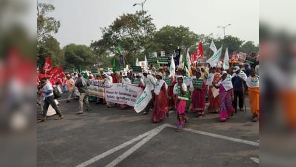 Farmers' march in Delhi: Adivasi cultivators seek better prices for their crops, fair compensation for displaced people