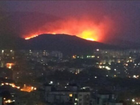 Reasons for Aarey Colony fire inconclusive, says Mumbai fire dept: Report finds 29 instances of such blazes since 2007 Reasons for Aarey Colony fire inconclusive, says Mumbai fire dept: Report finds 29 instances of such blazes since 2007