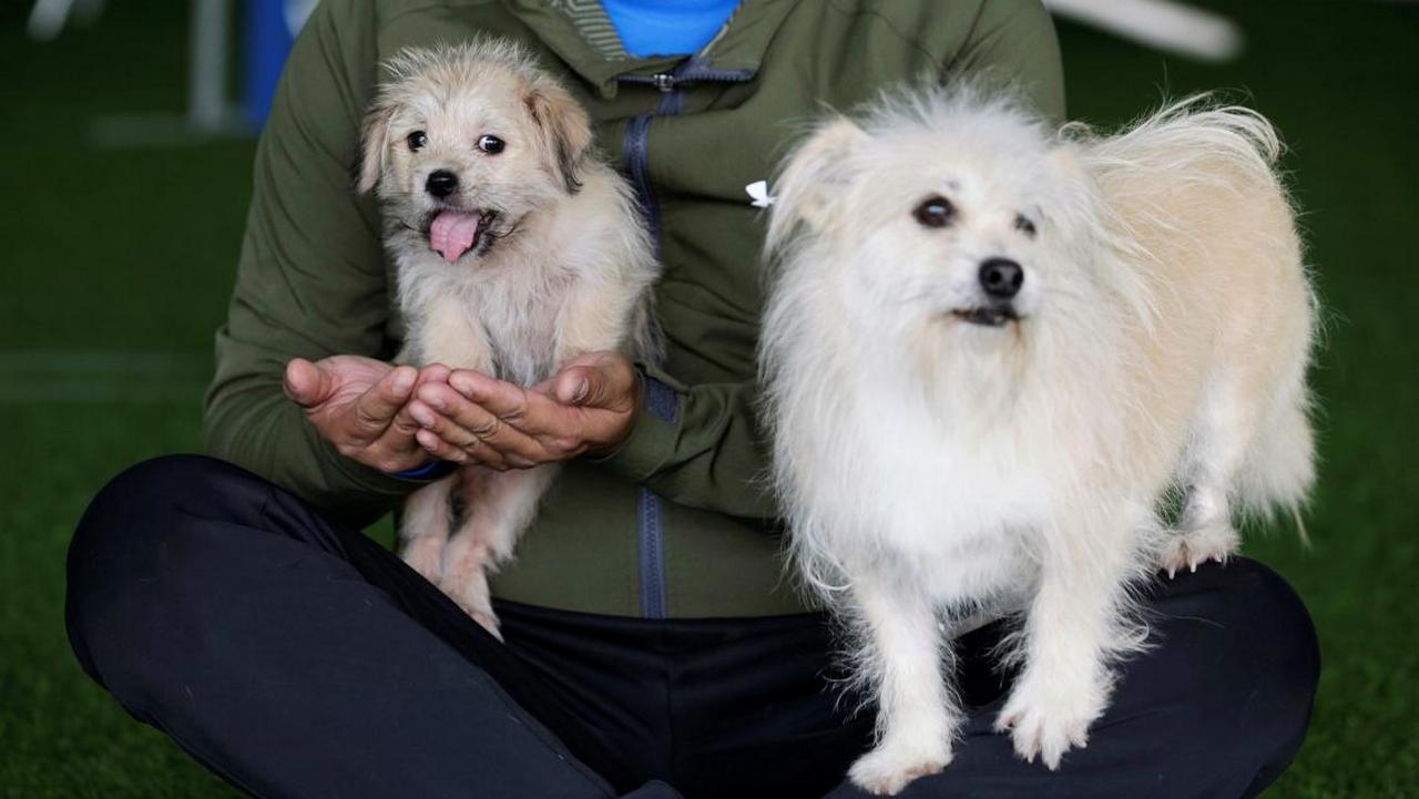 Owner He Jun poses with his dogs, nine-year-old Juice and its two-month-old clone, at his pet resort in Beijing, China November 26, 2018. Picture taken November 26, 2018. REUTERS/Jason Lee
