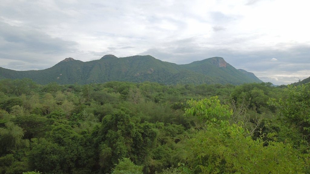 Javadhu Hills. Image: Government of Tamil Nadu