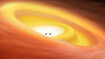 Bizarre infant star with deformed disc could shed new light on planet formation
