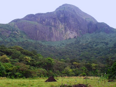 Sabarimala redux in Kerala? Tribal groups resist women's participation in trek to revered Agasthya Hill site Sabarimala redux in Kerala? Tribal groups resist women's participation in trek to revered Agasthya Hill site