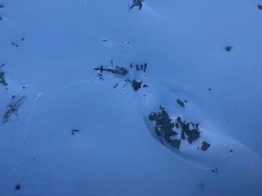 Aosta Valley crash: Five killed in north Italy after midair collision between helicopter and tourist aircraft; injured evacuated to hospital