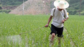 British govt to start a project to study nitrogen pollution in India and South Asia
