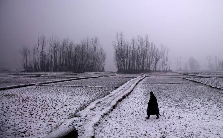 Cold wave continues: Delhi records coldest December in 50 years; IMD predicts dense fog in the northern, northeastern India Cold wave continues: Delhi records coldest December in 50 years; IMD predicts dense fog in the northern, northeastern India