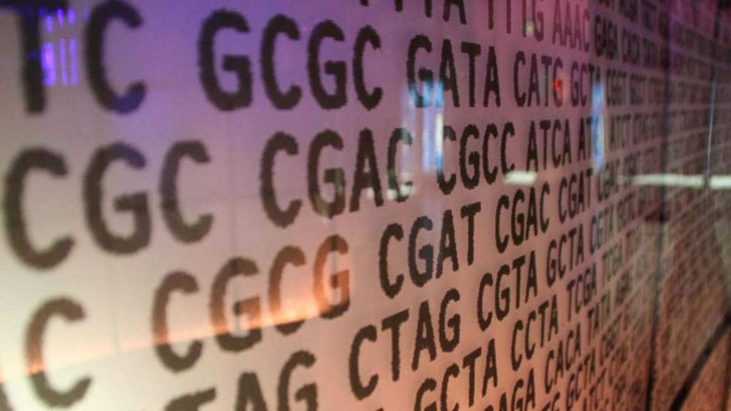 DNA Bill Bases