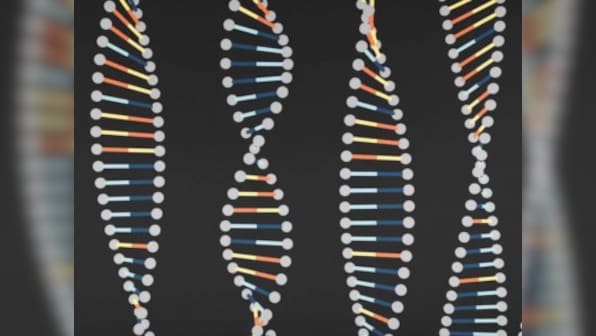 A deep dive into the gene pool to understand epigenetics and epigenomics