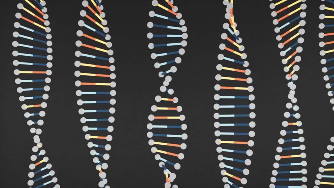 DNA, the code of life itself. 