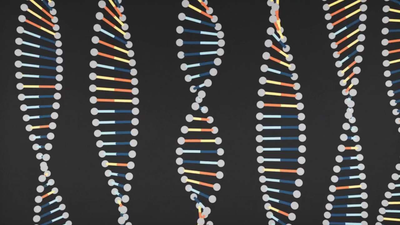 DNA the code of life itself 