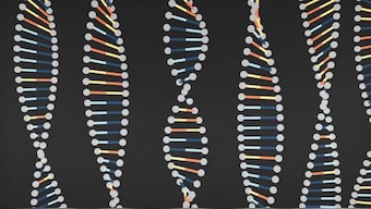 CRISPR used to treat two human cancer patients for the first time in UPenn study