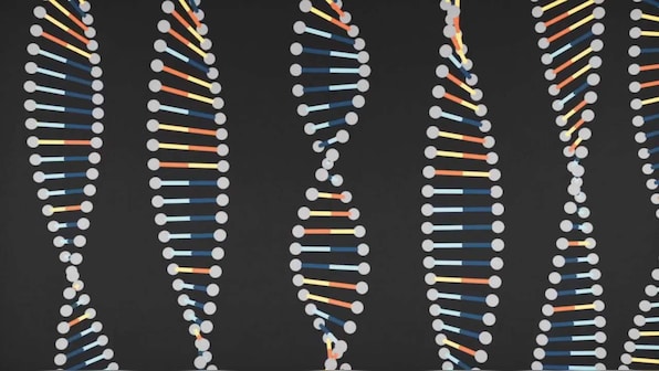 CRISPR used to treat two human cancer patients for the first time in UPenn study
