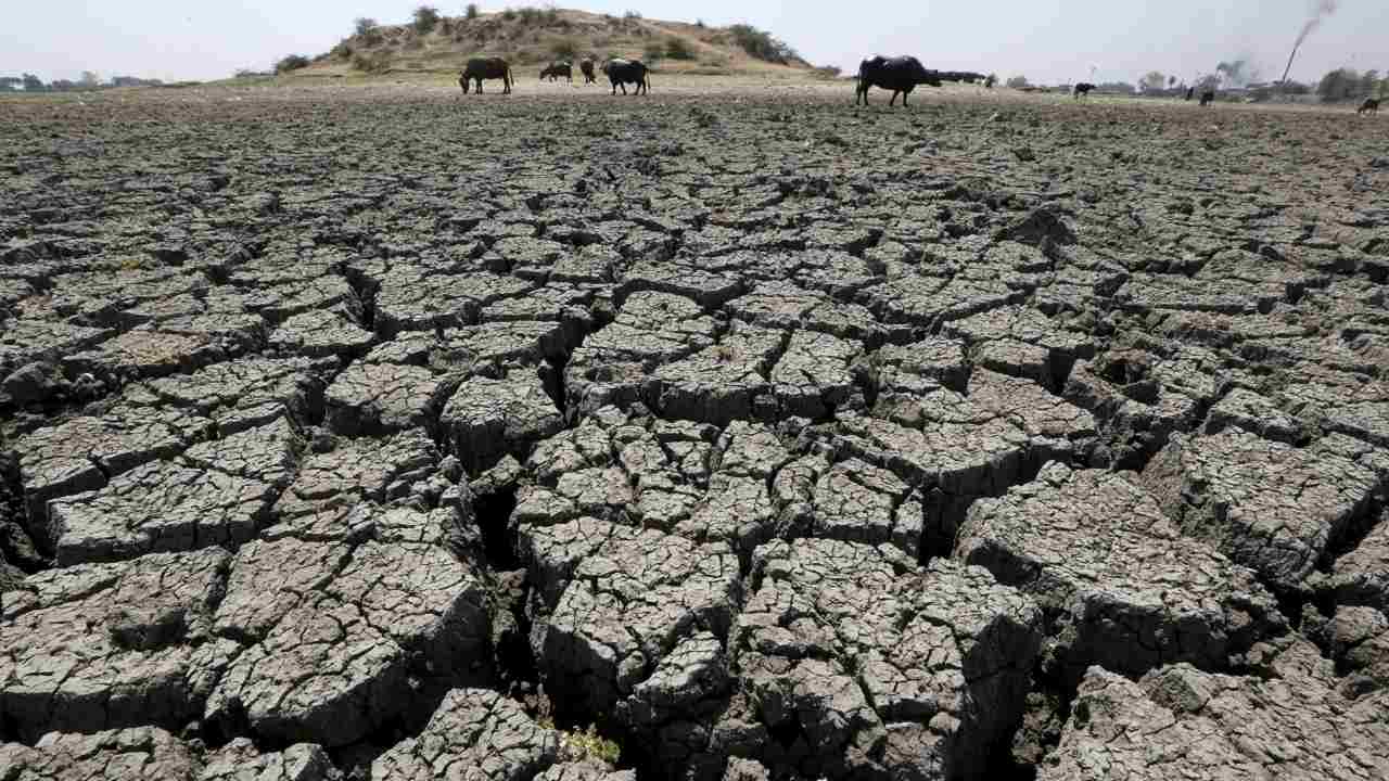 Maharashtra releases Rs 2,900 crore drought relief for farmers ...