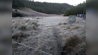 Cold wave grips India as Kerala's Munnar battles frost blanket and Shimla residents bring out umbrellas to escape snowfall