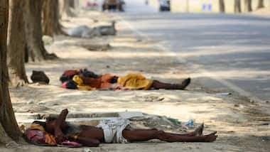 Will 2019 be the hottest year on record? It all boils down to an El Niño matter