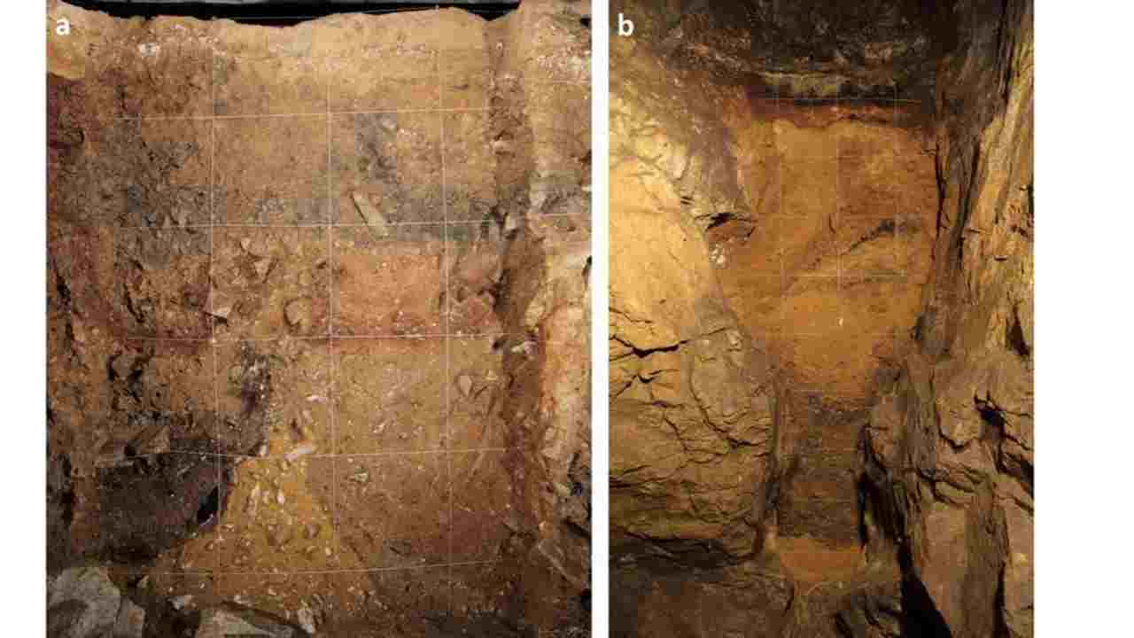 Sediment profiles (stratigraphy) in Denisova Cave: a, Main Chamber; b, East Chamber. The string lines in each photo are 50 cm apart. Institute of Archaeology and Ethnography of the Siberian Branch of the Russian Academy of Sciences, Author provided Sediment profiles (stratigraphy) in Denisova Cave: a, Main Chamber; b, East Chamber. The string lines in each photo are 50 cm apart. Image credit: Institute of Archaeology and Ethnography of the Siberian Branch of the Russian Academy of Sciences, Author provided