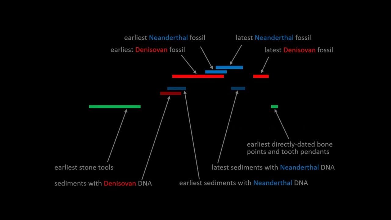 Summary timeline for the archaeology, hominin fossils and hominin DNA retrieved from the sediments at Denisova Cave. All age ranges are shown at the 95.4% confidence interval. Image credit: Bert Roberts, Author provided
