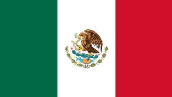 Ten killed in clash of Mexican self-defence forces: Cops find two vehicles full of bodies with multiple bullet wounds