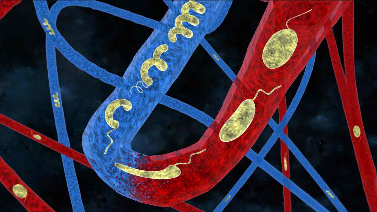 Swimming microbots developed by Swiss scientists to deliver drugs in the body Swimming microbots developed by Swiss scientists to deliver drugs in the body
