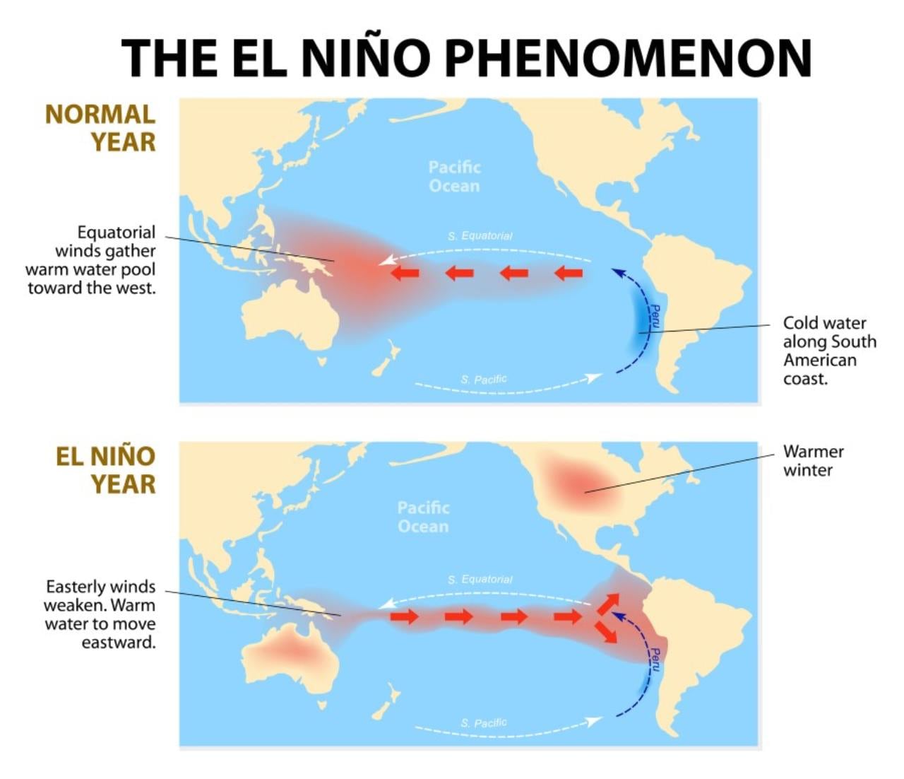 What happens in the Pacific Ocean during normal and El Nino years.