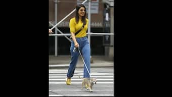 Priyanka Chopra spends big bucks on a winter jacket for her pet dog Princess Diana