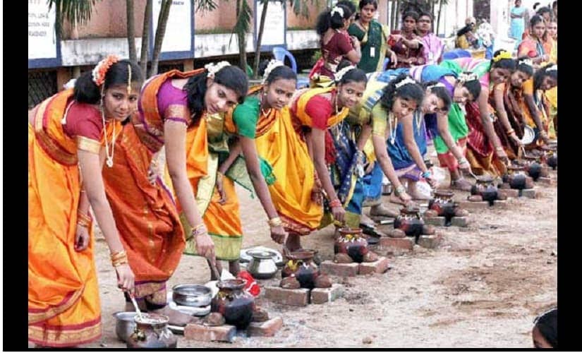 Makar Sankranti 2019: From history, food to kite-flying, all you need to know about the festival