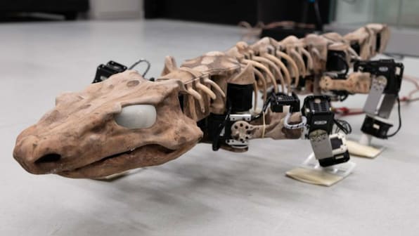 Robot recreates the walk of a 290-mn-year-old creature that lived before dinosaurs