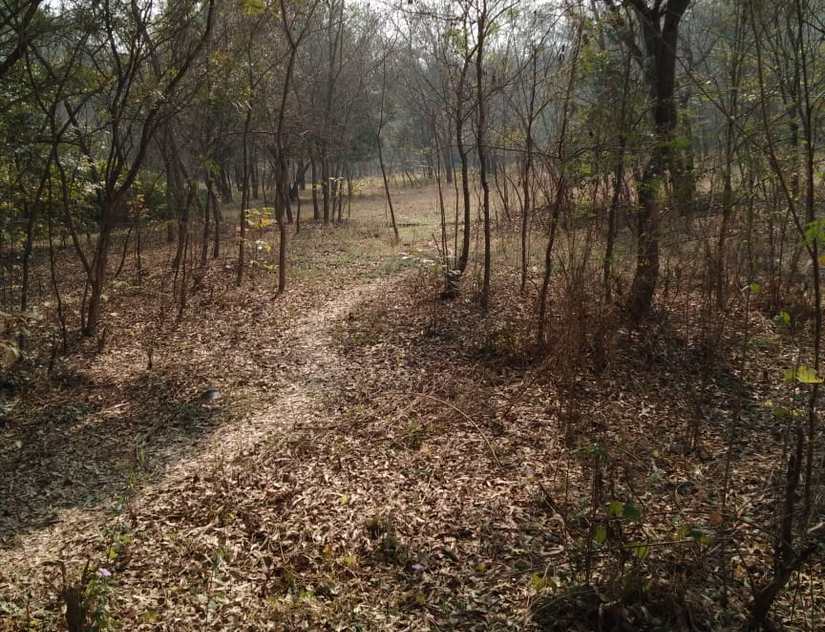 Land acquired from farmers in Amethi lying unused. Image Courtesy: Vivek Vikram Singh