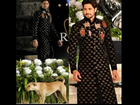 Watch: A dog crashes Sidharth Malhotra's ramp walk during Rohit Bal fashion show Watch: A dog crashes Sidharth Malhotra's ramp walk during Rohit Bal fashion show