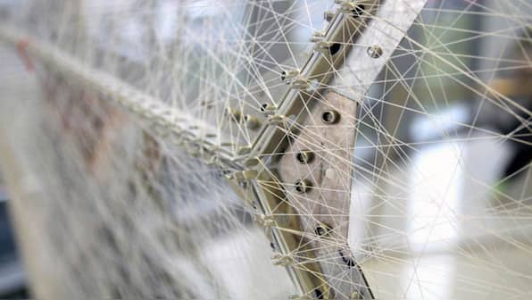 Silkworms fed with graphene make super-strong silk threads that conduct electricity