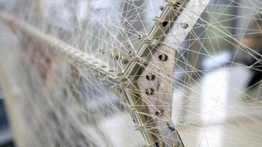 Silkworms fed with graphene make super-strong silk threads that conduct electricity