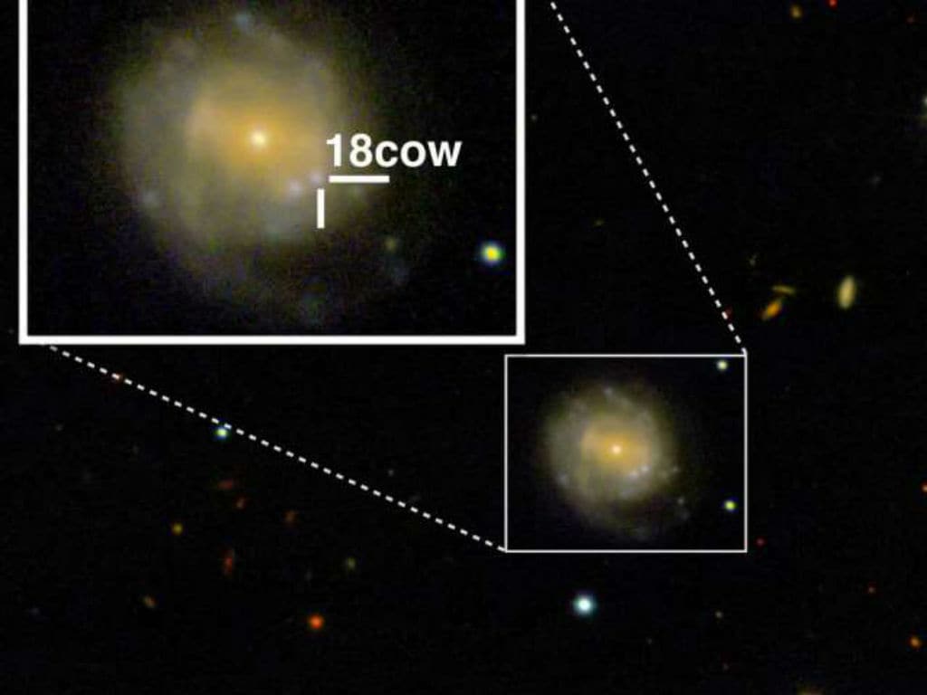 A mysterious cosmic flare, 'the cow' might just be the birth of a black hole - Firstpost A mysterious cosmic flare, 'the cow' might just be the birth of a black hole - Firstpost - mysterious, might, flare, firstpost, cosmic, black, birth