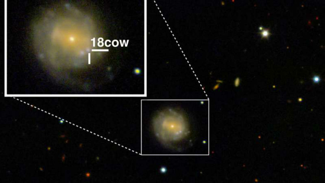 A mysterious cosmic flare, 'the cow' might just be the birth of a black hole A mysterious cosmic flare, 'the cow' might just be the birth of a black hole